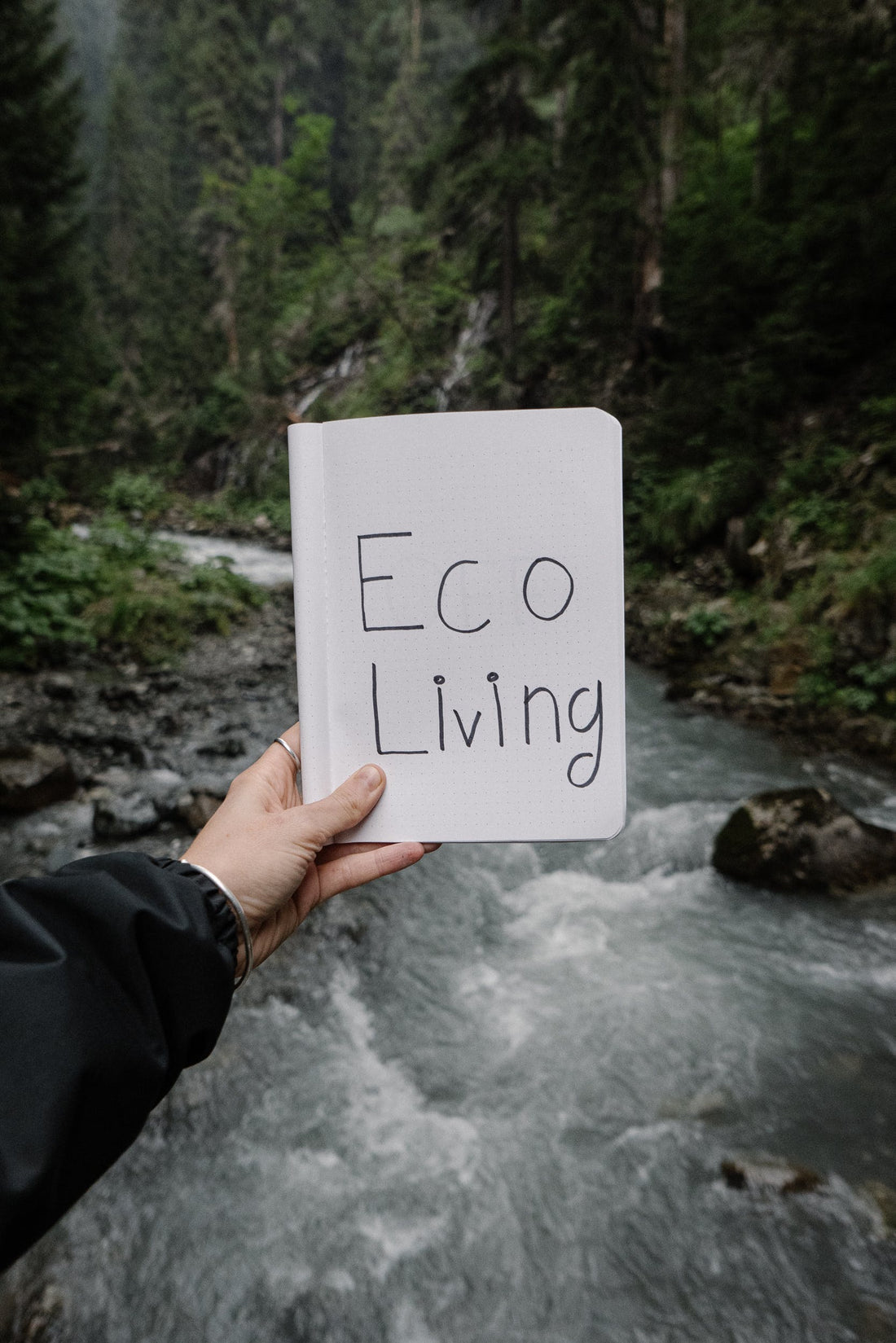 7 Eco-Friendly Ways to Save the World and Make an Impact
